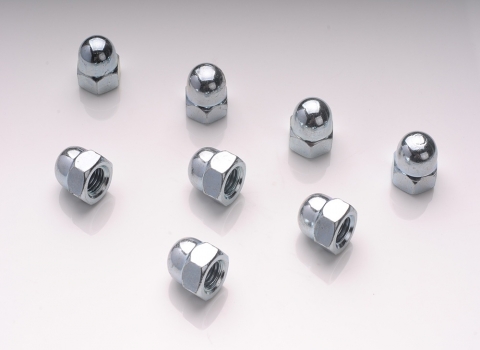 DIN1587 Cap nuts